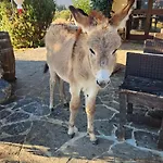 Gennemara - Porta Del Mare 3*