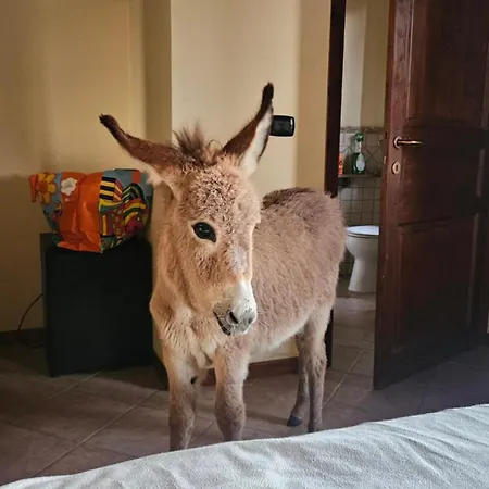 Gennemara - Porta Del Mare فندق مبيت وإفطار Perdaxius