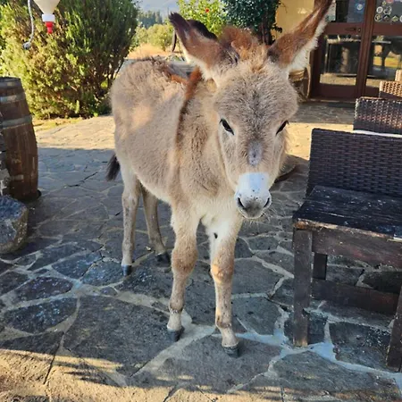 Gennemara - Porta Del Mare 3*