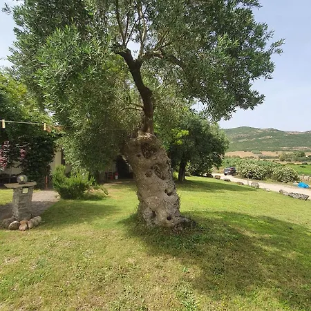 Bed and breakfast Gennemara - Porta Del Mare Perdaxius