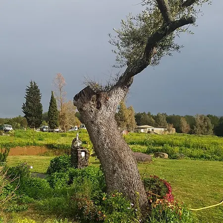 Gennemara - Porta Del Mare 3* Perdaxius