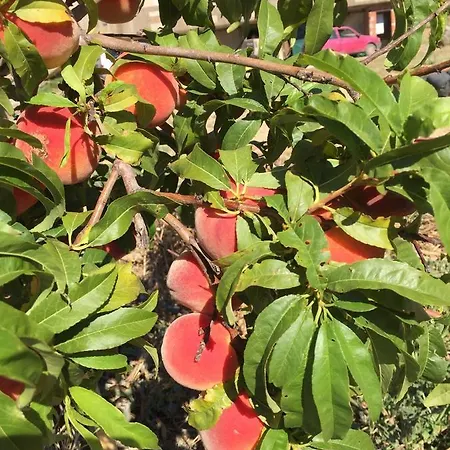 Bed and breakfast Gennemara - Porta Del Mare