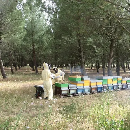 Bed & Breakfast Gennemara - Porta Del Mare