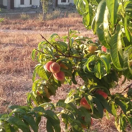 Agriturismo Gennemara Alojamento de Acomodação e Pequeno-almoço *