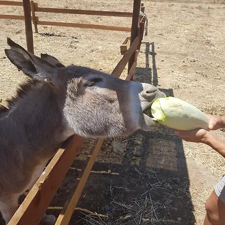 Gennemara - Porta Del Mare