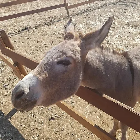 Gennemara - Porta Del Mare 3* Perdaxius