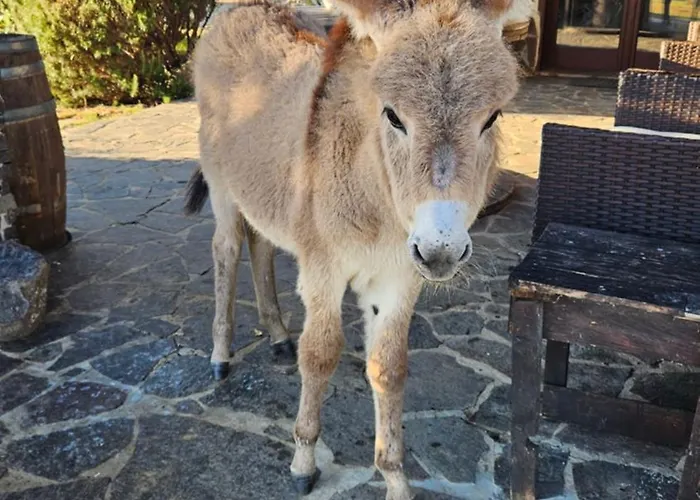 Gennemara - Porta Del Mare 3*