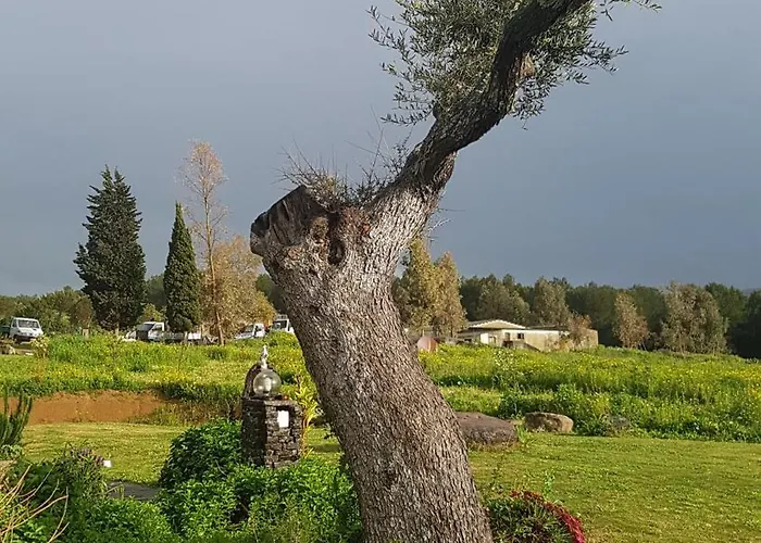 Gennemara - Porta Del Mare 3* Perdaxius