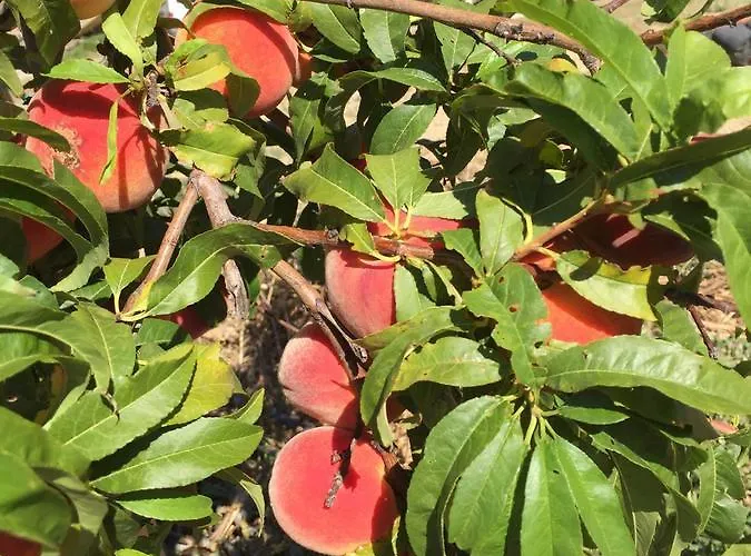 Couette-café Gennemara - Porta Del Mare