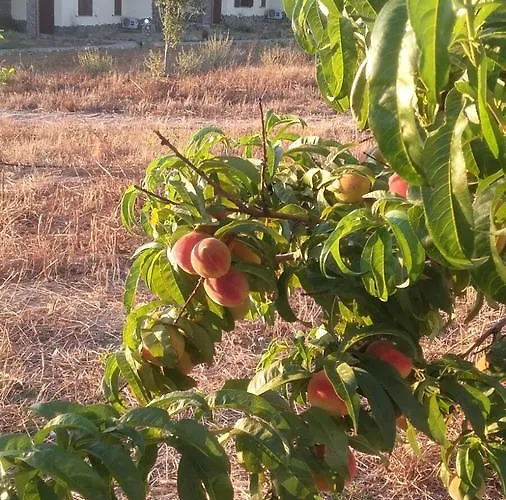 Gennemara - Porta Del Mare Bed & Breakfast 3*